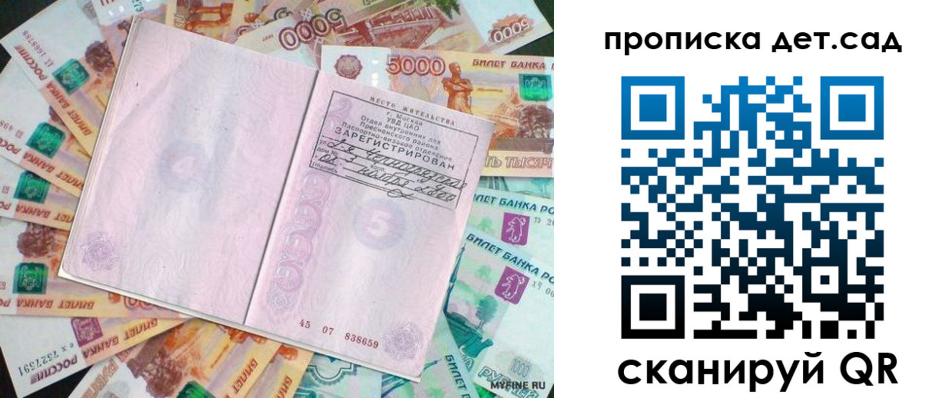 прописка поиск в Сольцах